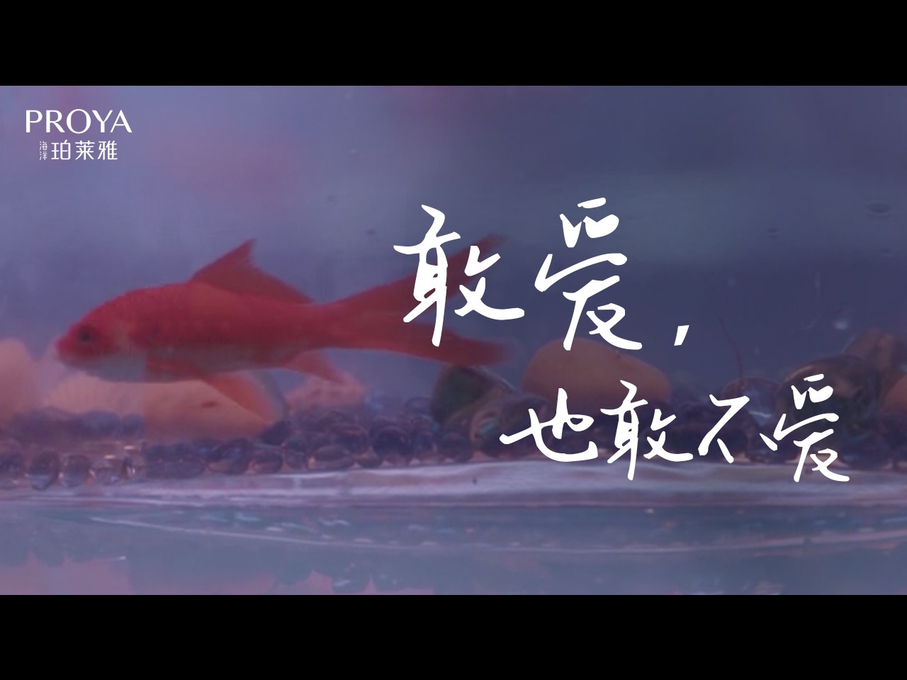 宽封面.jpeg